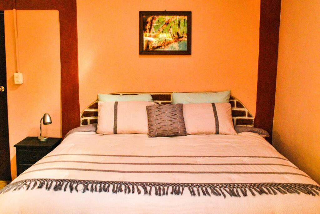 Hostal Casa 4 Estaciones, Coliving & Nature Hostel San Cristobal de las Casas Ngoại thất bức ảnh