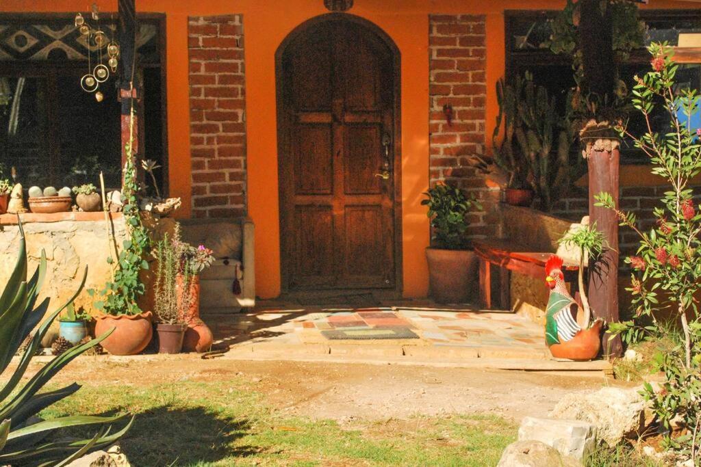 Hostal Casa 4 Estaciones, Coliving & Nature Hostel San Cristobal de las Casas Ngoại thất bức ảnh